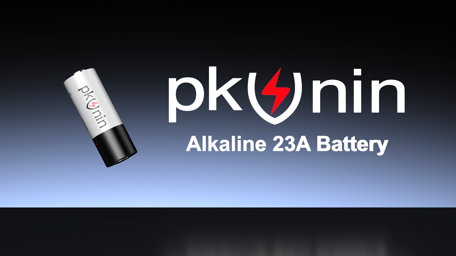 Amazon.com: PKUNIN 23A 12 Volt Battery Alkaline Ceiling Fan